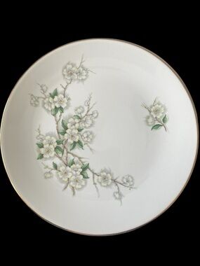 Vintage Georgian Spring Blossom Dinner Plates 2